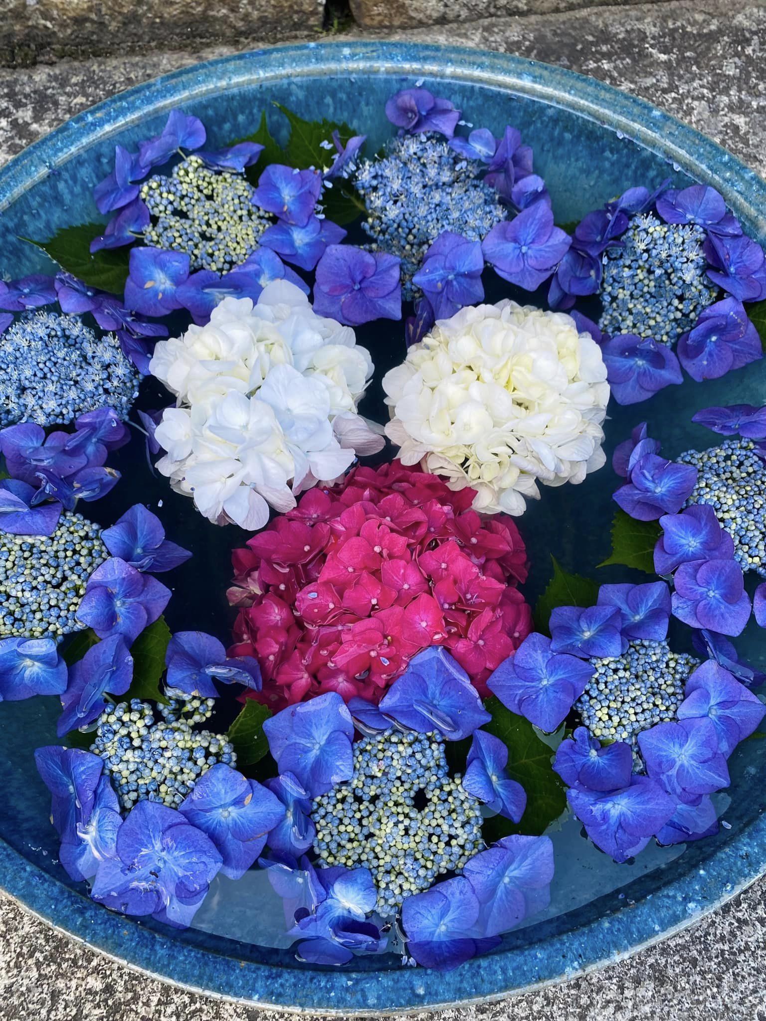 お祝いのお花